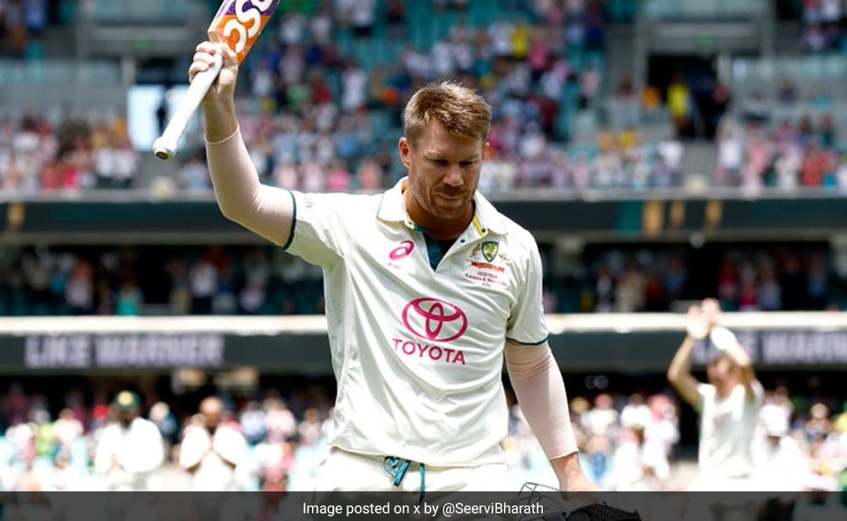 David Warner Set To Come Out Of Retirement For India Tests? Australia Star Drops Bombshell