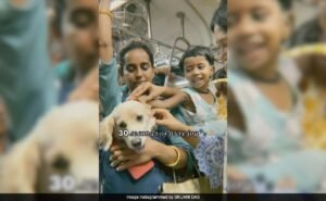 Read more about the article Adorable Pet Dog Travels On Mumbai Local, Leaves Passengers Delighted