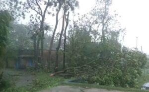 Read more about the article Heavy Rain, Strong Winds In Odisha, Bengal As Cyclone Dana Makes Landfall