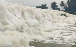 Read more about the article Toxic Foam Appears On Road Near Bengaluru After Heavy Rain