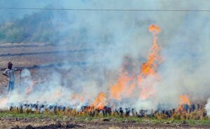 Read more about the article Supreme Court Raps Punjab, Haryana Over Stubble Burning