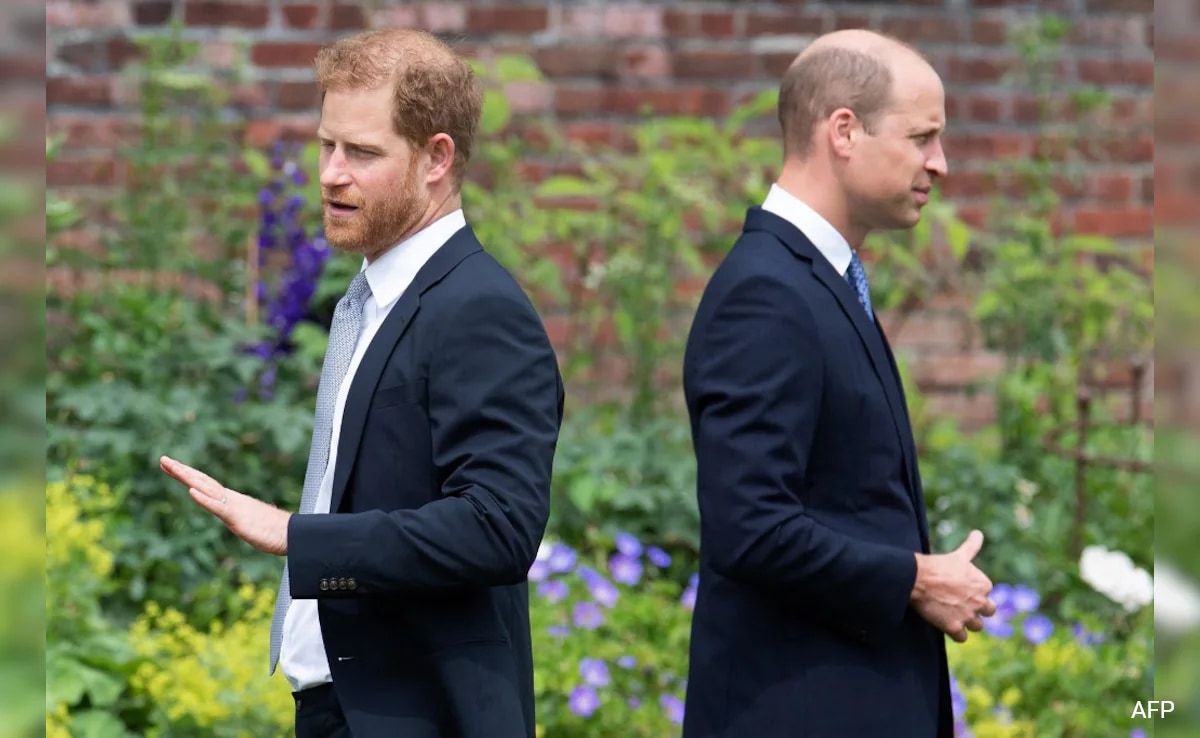 Read more about the article Amid Rift, Prince William Discusses Bond With Prince Harry In Documentary