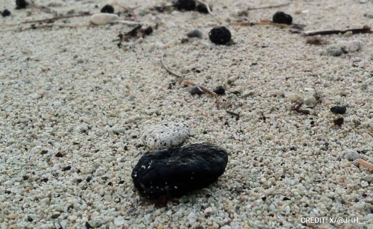 What Are Tar Balls, The Mystery Debris That Is Closing Beaches In Sydney