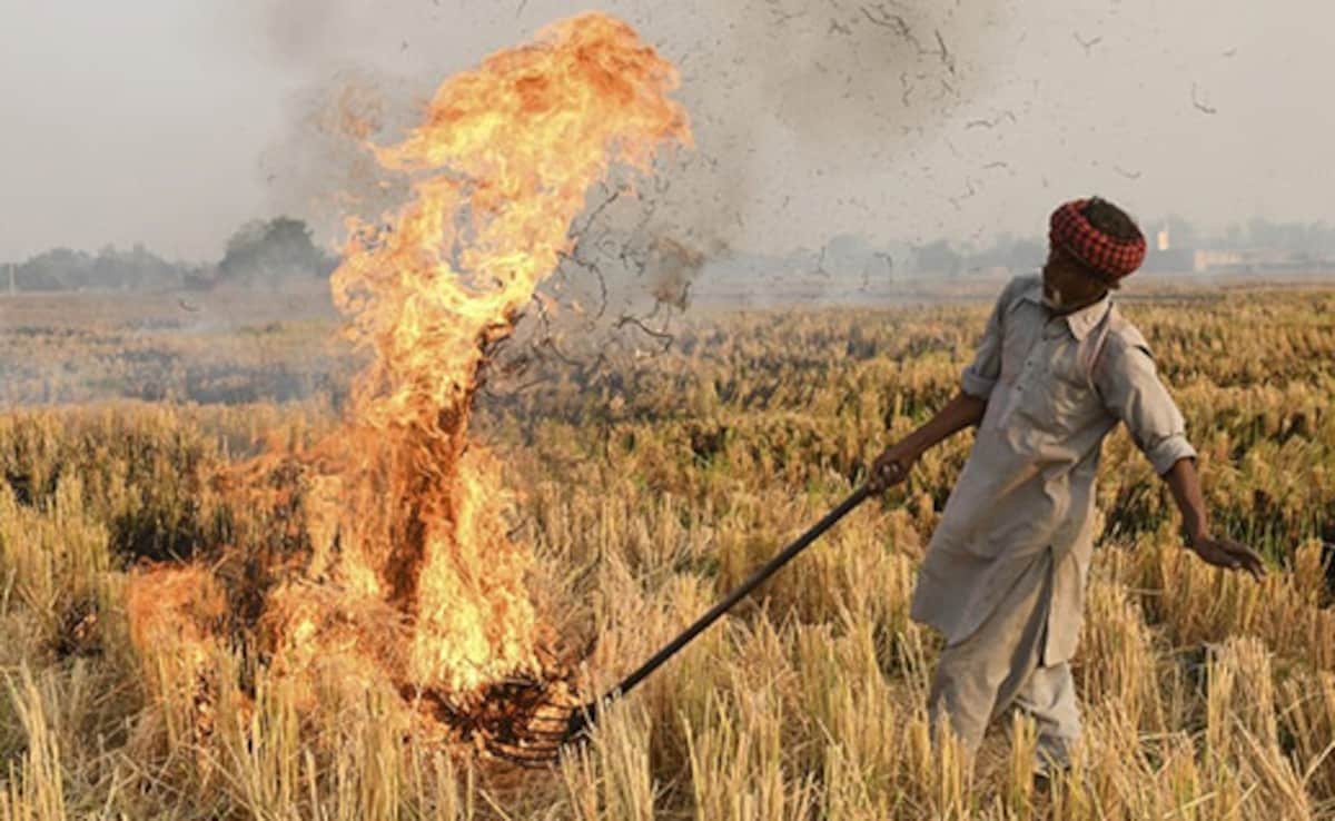 As Delhi Air Worsens, Punjab Farmers Say Stubble Burning Only Option