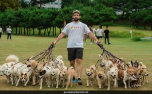 Read more about the article 38-Dog Parade Earns Canadian Man A Spot In Guinness World Records