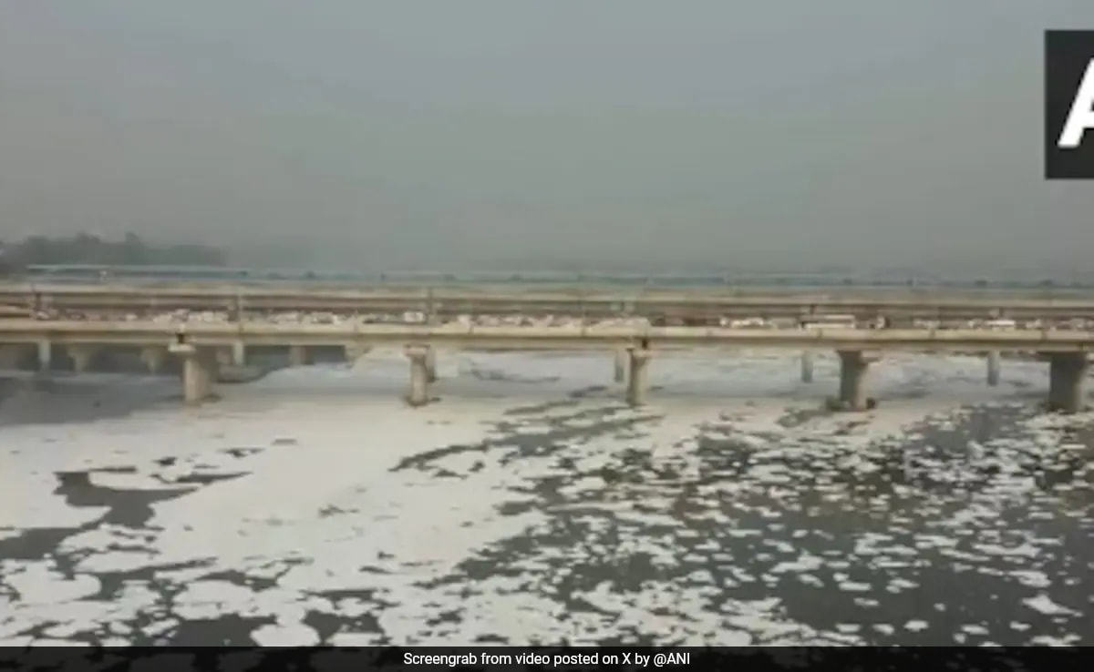 Read more about the article Toxic Foam Surfaces In Yamuna River Near Delhi’s Kalindi Kunj Amid Rising Air Pollution