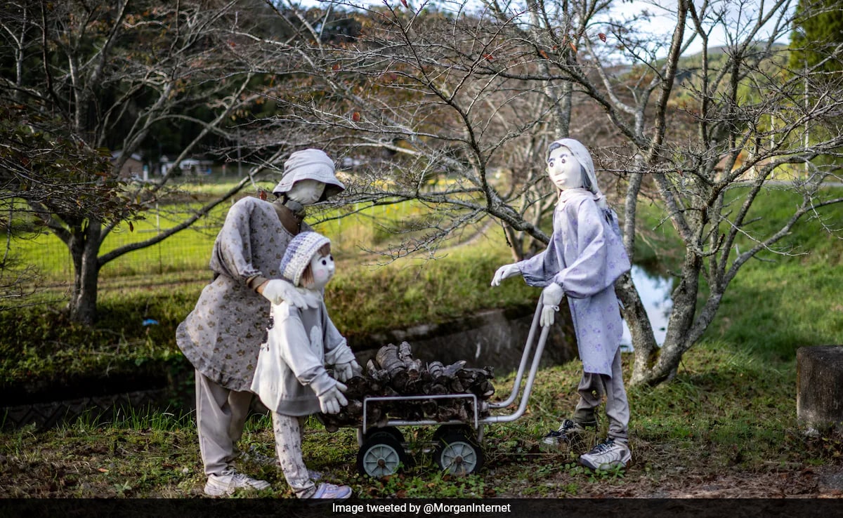 Read more about the article This Japanese Village Has Replaced Its Young People With Mannequins