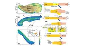 Read more about the article Himalayas Mountain Range Formation Could Have Destroyed 30 Percent of Continental Crust, Says Study