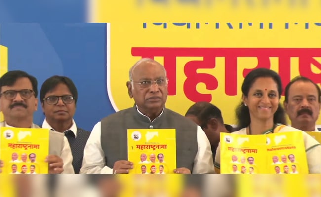 Read more about the article Maharashtra Opposition Manifesto Promises Rs 3,000 To Women, Caste Census