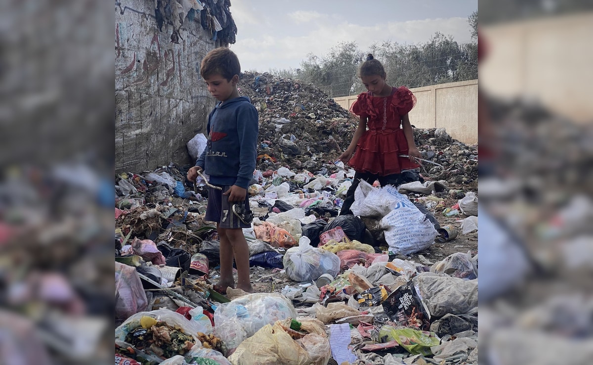 Read more about the article Crisis In Gaza Debilitates As Palestinians Seen Scavenging In Landfills