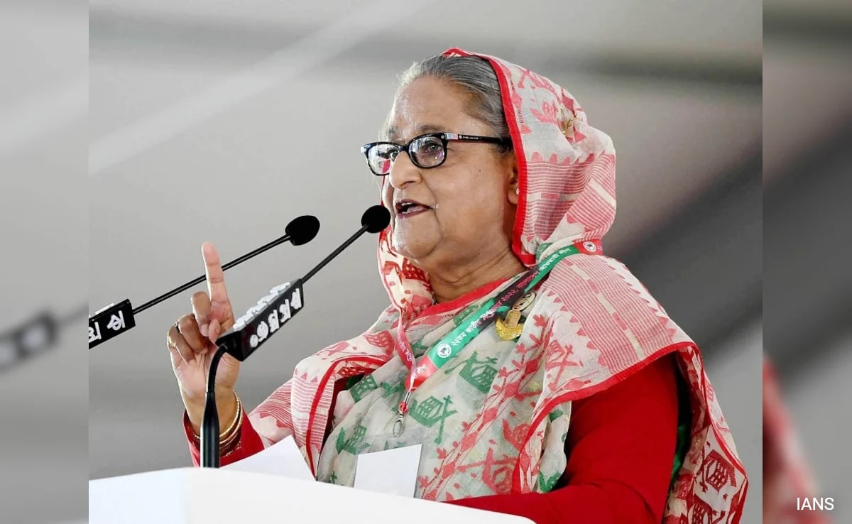 'Hindu Monk's Arrest Unjust, Must Be Freed': Bangladesh Ex-PM Sheikh Hasina