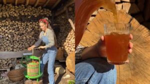 Read more about the article Viral Video Showing Making Of Natural Apple Juice Using Manual Press Wows Internet