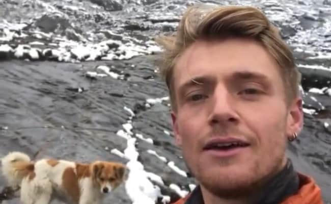 Read more about the article Hiker Gets Lost 15,000 Ft Up In Snow-Decked Mountain, Stray Dog Guides Him Back