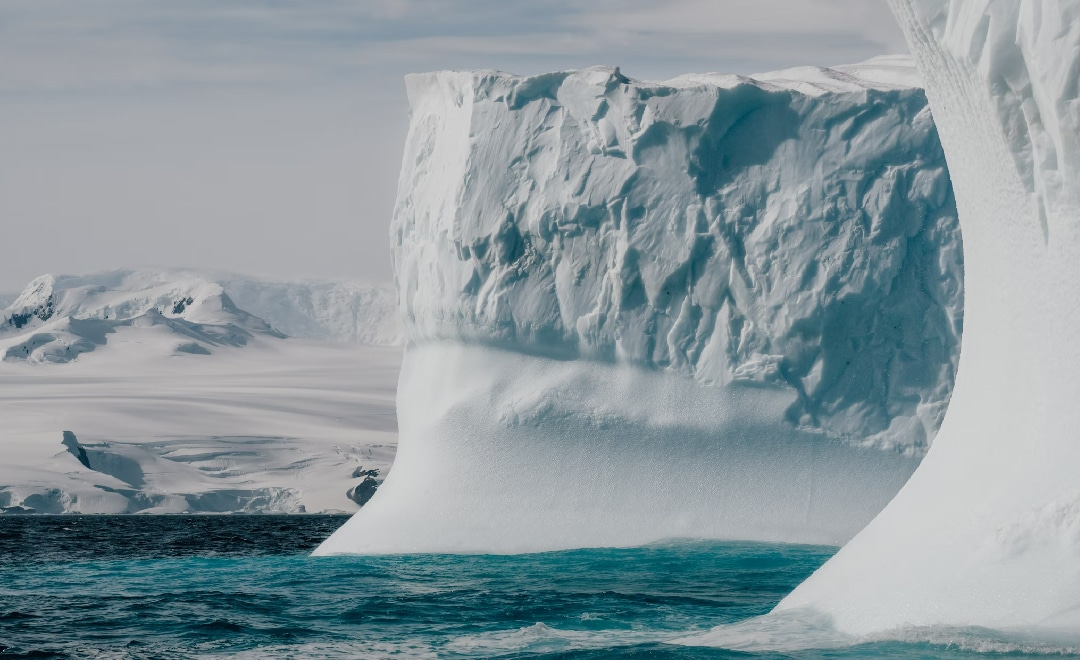 Read more about the article Unexpected ‘Grand Canyon’ Found Beneath Antarctica’s Floating Ice Shelves