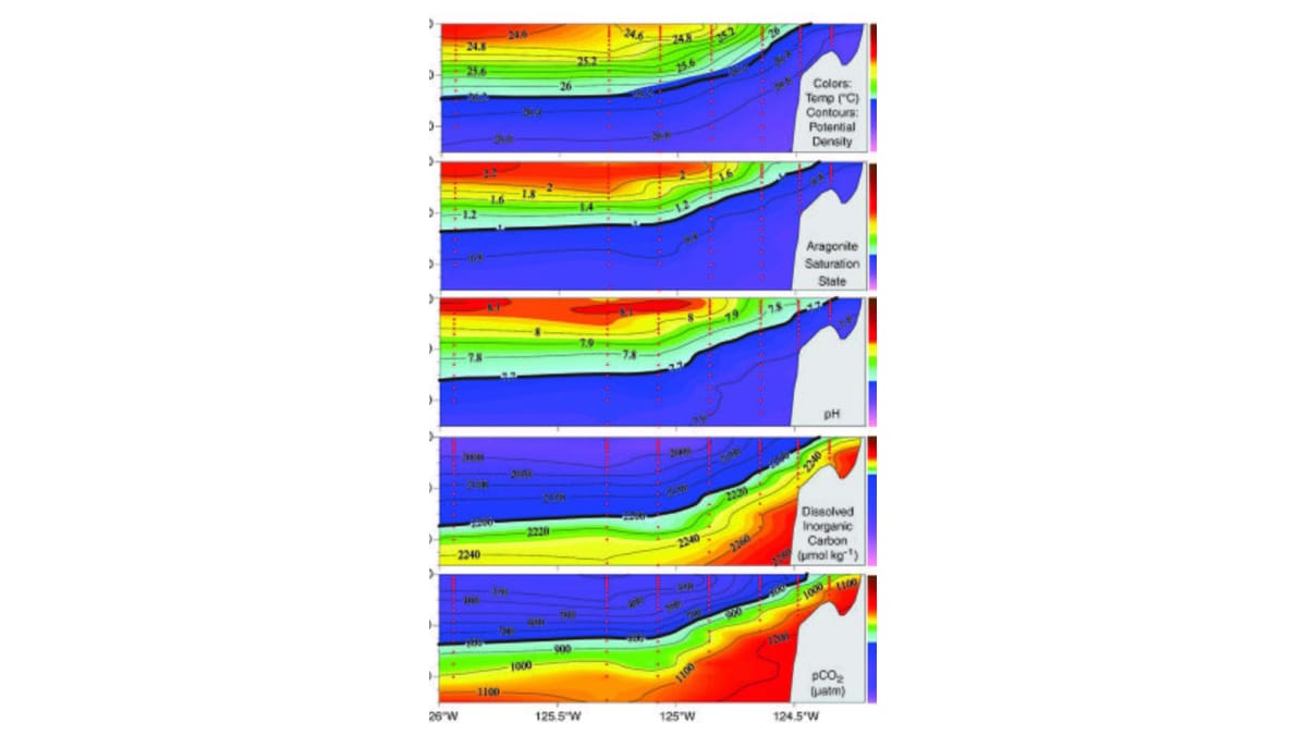 Read more about the article Ocean Acidification Study: Carbon Emissions Driving Deeper Chemical Changes in Oceans