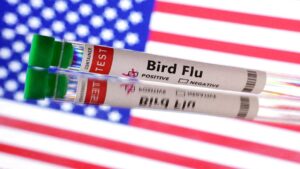 Read more about the article Could bird flu trigger another pandemic? – Firstpost