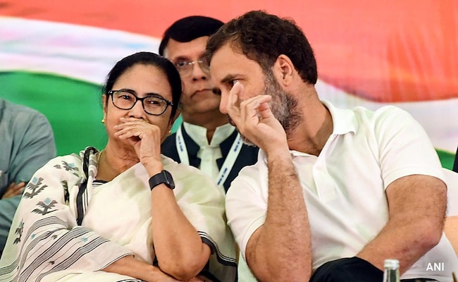 Read more about the article Rahul Gandhi’s Role In Question? More INDIA Leaders Back Mamata Banerjee