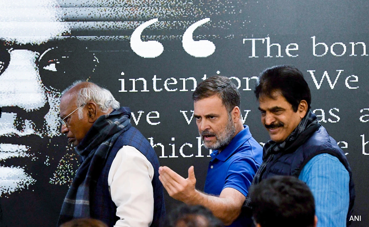 Rahul Gandhi Behaved Like "Bouncer" Rather Than...: BJP's Pratap Sarangi