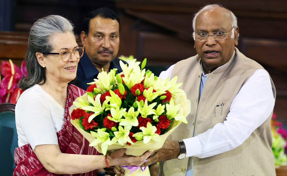 Read more about the article Sonia Gandhi Rips Into BJP, RSS