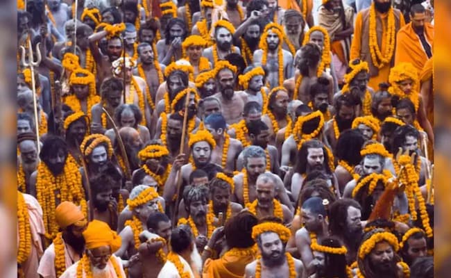 Maha Kumbh Mela 2025: Multi-Lingual AI Chatbot Launched To Assist Visitors