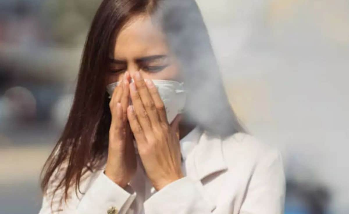 Read more about the article Fight Air Pollution With These Nutritionist-Recommended Tips To Safeguard Your Health