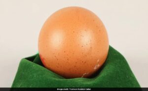 Read more about the article Perfectly Spherical “One-In-A-Billion” Egg Sold For Rs 21,000 In UK