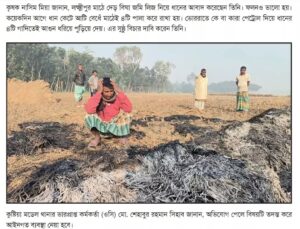 Read more about the article Video Claiming Crops Of Bangladeshi Hindus Burnt By Muslims