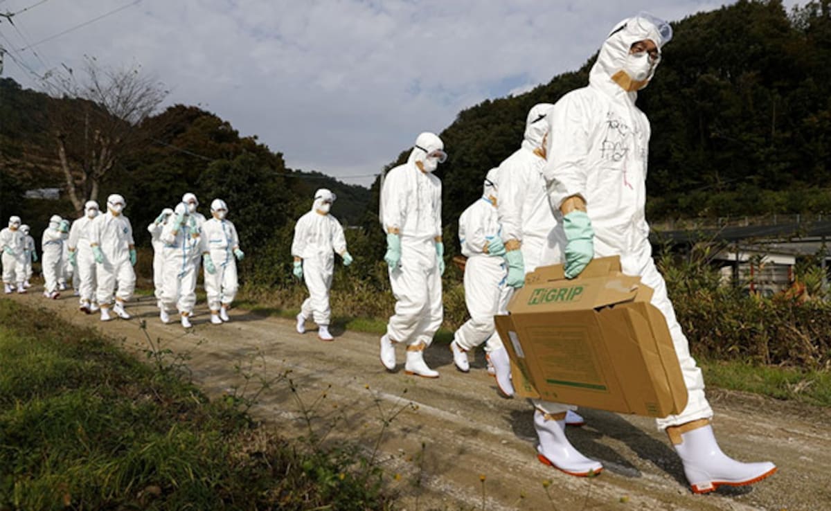 Bird Flu Poised To Spark The Next Global Pandemic, Experts Warn Of Rising Risks