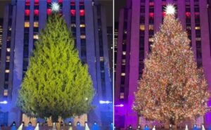 Read more about the article Rockefeller Centre’s Iconic Tree Shines Bright With 50,000 Lights