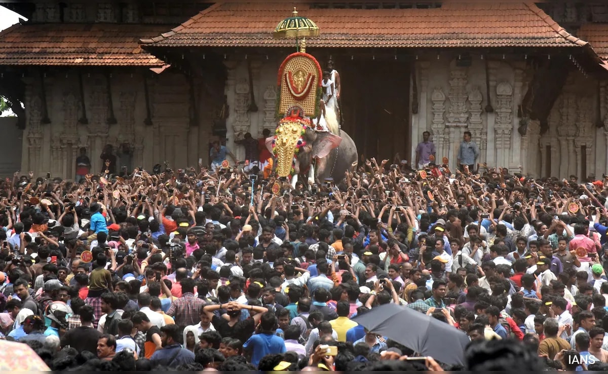 Supreme Court Stays Kerala High Court Order On Elephants In Temple Festivals