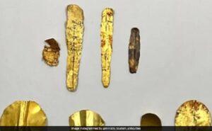 Read more about the article 13 Mummies With Gold Tongue And Fake Nails Discovered In Ancient Egyptian Tomb