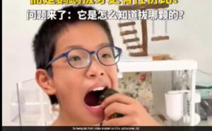 Read more about the article Parrot Pulls Boy’s Rotten Tooth In China, Leaving Internet Amazed