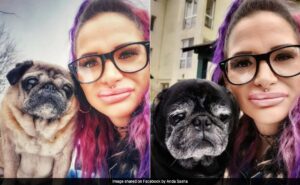 Read more about the article Romanian Woman’s Body Found Partially Eaten By Her Pet Dogs After Mysteriously Dying At Home