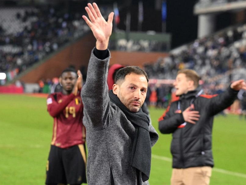 Read more about the article Belgium Sack National Team Coach Domenico Tedesco