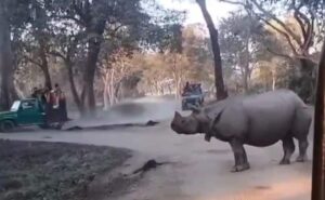 Read more about the article Mother And Daughter Fall In Front Of Rhinos In Kaziranga. Here’s What Happened Next