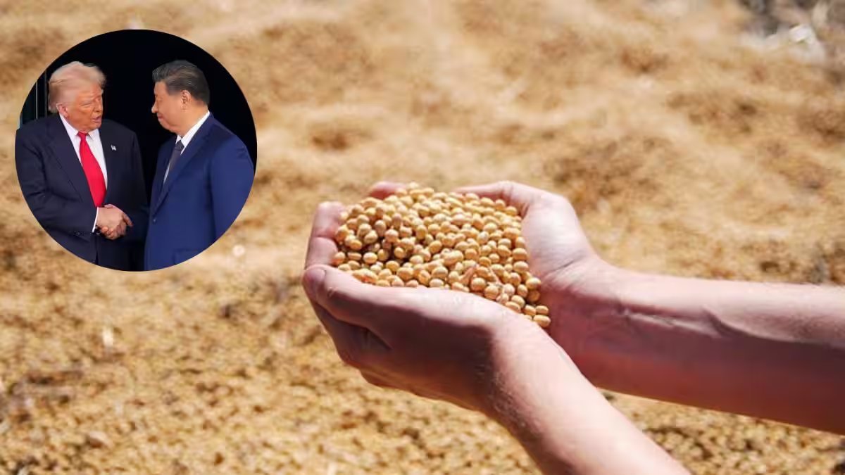 US President Donald Trump Announces China to Buy Large Volumes of American Soybeans and Farm Products After Summit with Xi Jinping – Firstpost
