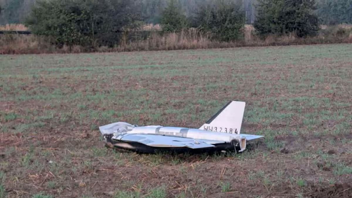 Can they win it peace? – Firstpost