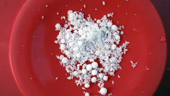 Read more about the article What’s the difference between ammonium nitrate and RDX? Which is deadlier? – Firstpost