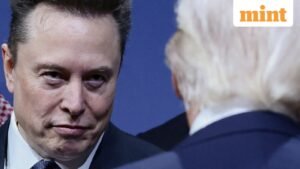 Read more about the article Grok AI now claims Elon Musk is ‘fitter’ than LeBron James and could beat Mike Tyson