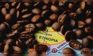 Read more about the article Donald Trump deepens tariff cut on Brazilian Foods as prices mount