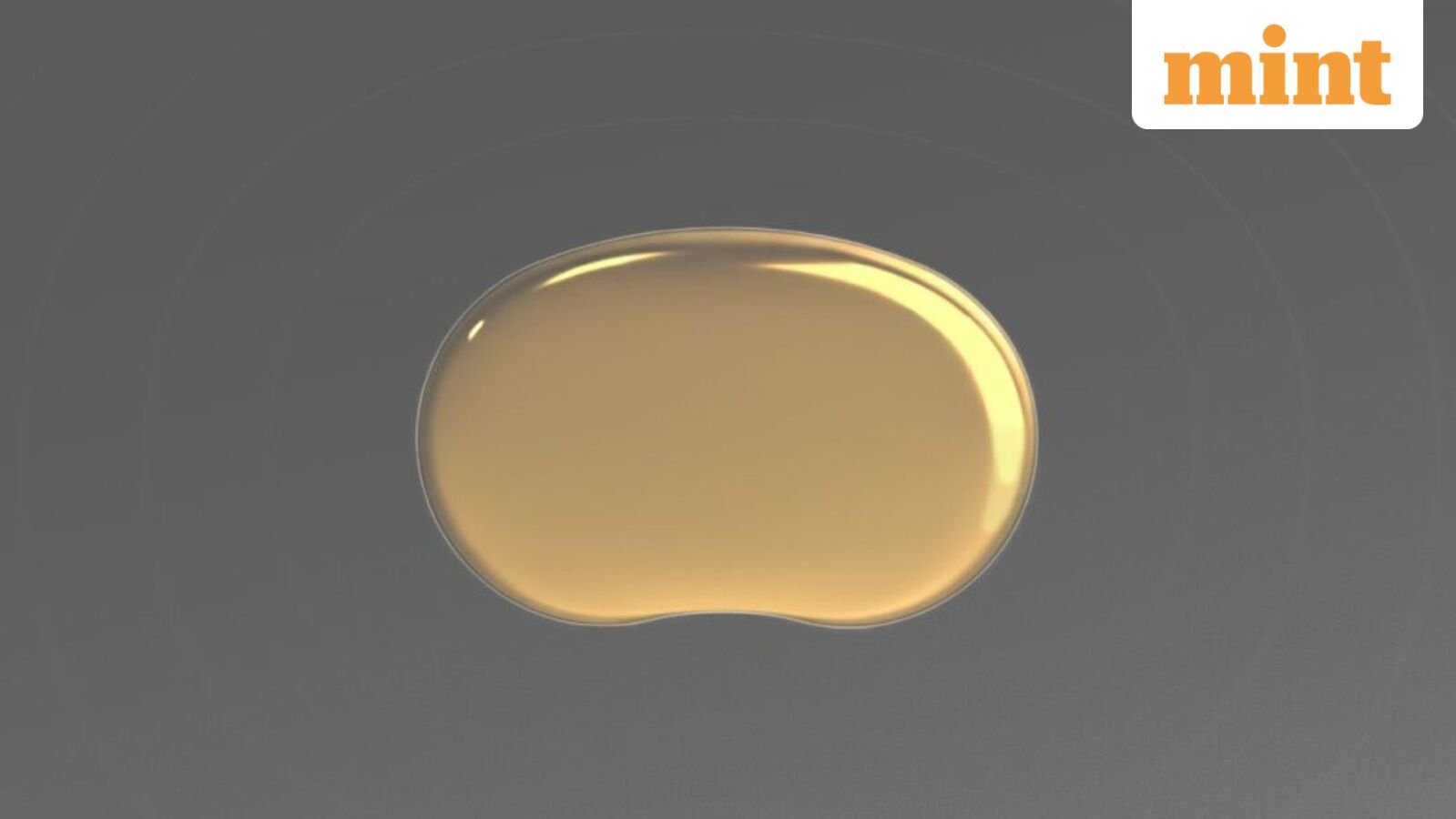 Deepinder Goyal shares a glimpse of Temple.