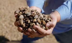 Read more about the article Govt unveils details of ₹7,280-crore rare earth magnet manufacturing scheme