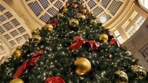 Read more about the article Travelling to Europe for Christmas? Plan for these airport strikes in December – Firstpost