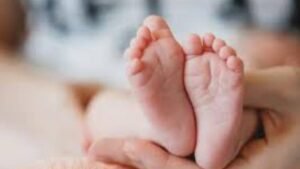 Read more about the article Italy hails first baby in 30 years in village with more cats than humans – Firstpost