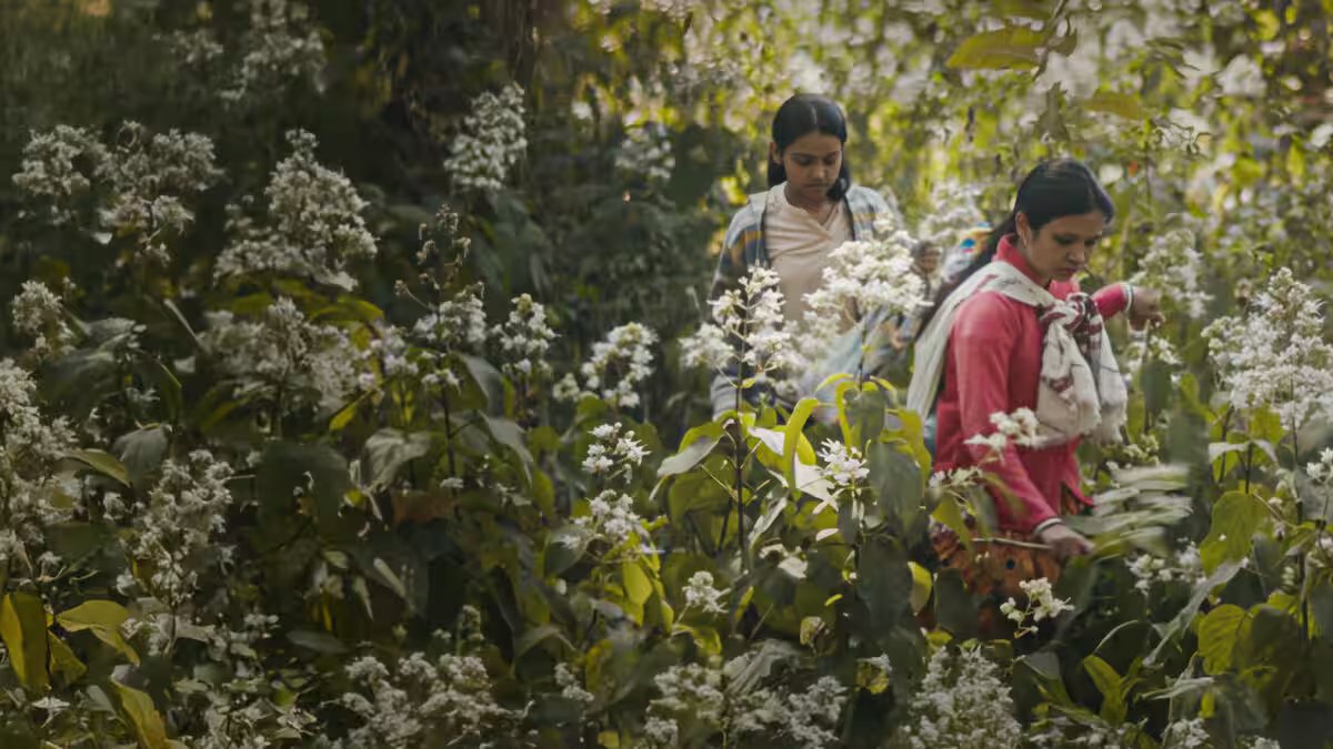 Netflix & Kiran Rao's 'Humans in the Loop' actor Sonal Madhushankar: ‘My caste and gender have already instilled fear in my DNA, but now…’ – Firstpost