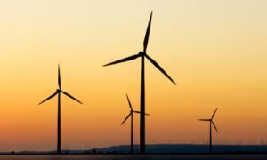 Read more about the article India denies issuing advisory to banks to stop lending to renewable energy projects, equipment makers