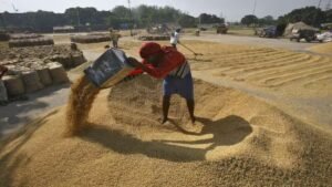 Read more about the article Trump warns India of new tariffs over rice dumping claims. What does the data reveal? – Firstpost