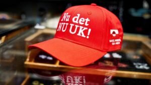 Read more about the article Campaign to ‘Danify California’ gathers pace as Trump presses to acquire Greenland – Firstpost