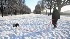Read more about the article Severe winter storms kill six across Europe, disrupt travel and daily life – Firstpost