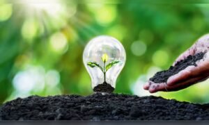 Read more about the article Canada sees bigger role in India’s gas and nuclear push beyond renewables: Minister Tim Hodgson